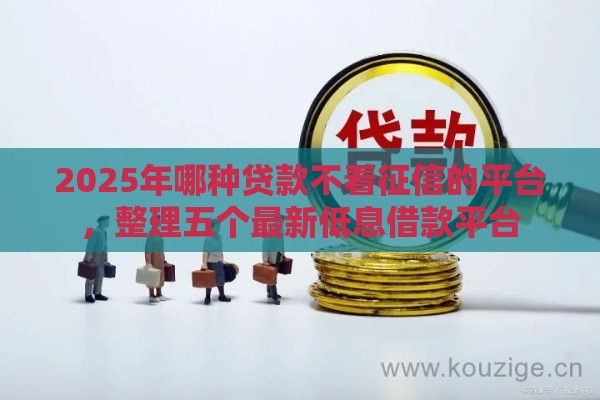 2025年哪种贷款不看征信的平台，整理五个最新低息借款平台