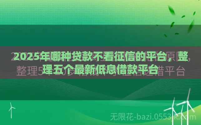 2025年哪种贷款不看征信的平台，整理五个最新低息借款平台