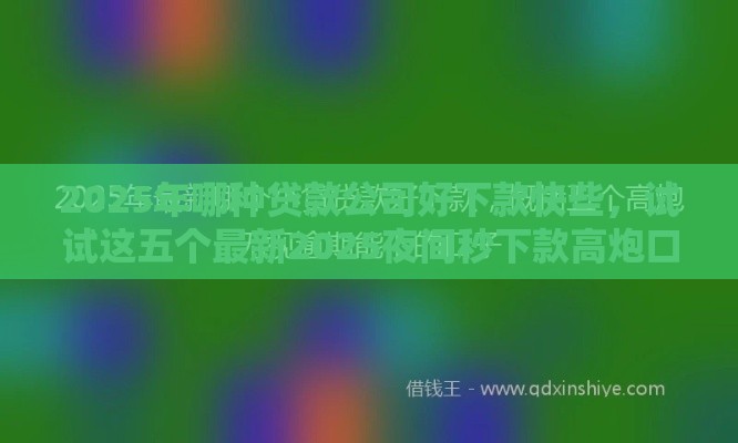 2025年哪种贷款公司好下款快些，试试这五个最新2025夜间秒下款高炮口子