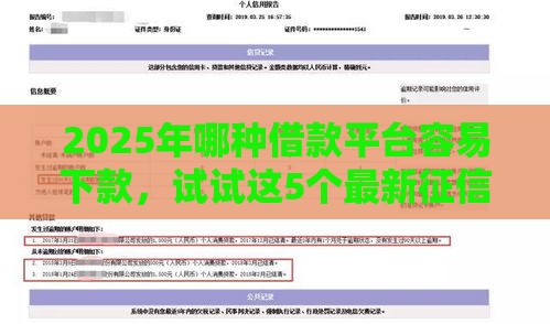 2025年哪种借款平台容易下款，试试这5个最新征信黑有当前逾期还能下款的平台