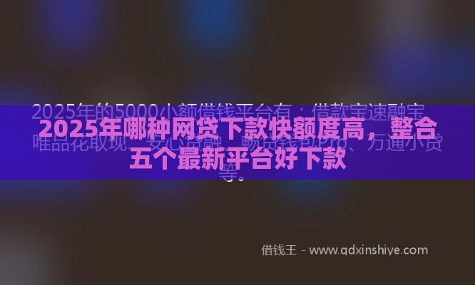 2025年哪种网贷下款快额度高，整合五个最新平台好下款