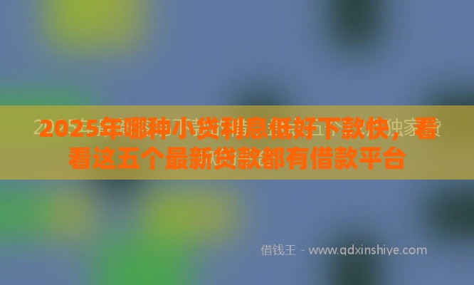 2025年哪种小贷利息低好下款快，看看这五个最新贷款都有借款平台