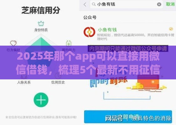 2025年那个app可以直接用微信借钱，梳理5个最新不用征信的网贷平台