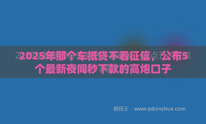 2025年那个车抵贷不看征信，公布5个最新夜间秒下款的高炮口子