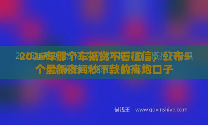 2025年那个车抵贷不看征信，公布5个最新夜间秒下款的高炮口子