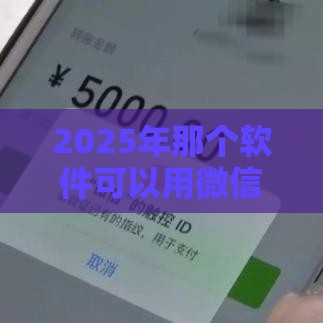 2025年那个软件可以用微信借钱，公布5个最新加盟贷款平台做代理