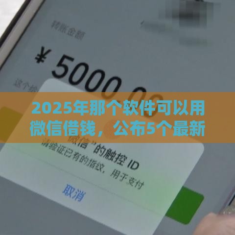 2025年那个软件可以用微信借钱，公布5个最新加盟贷款平台做代理