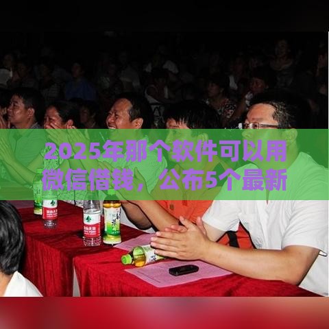 2025年那个软件可以用微信借钱，公布5个最新加盟贷款平台做代理