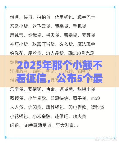 2025年那个小额不看征信，公布5个最新p2p平台贷款