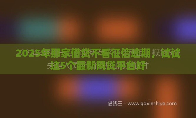 2025年那家借贷不看征信逾期，试试这5个最新网贷平台好