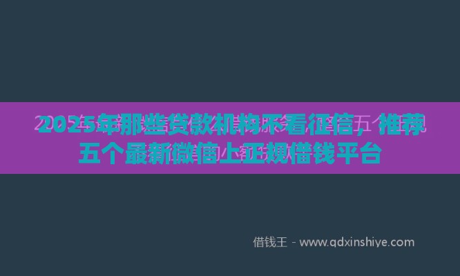 2025年那些贷款机构不看征信，推荐五个最新微信上正规借钱平台