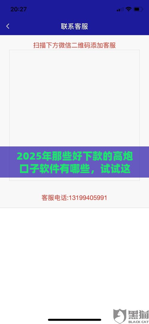 2025年那些好下款的高炮口子软件有哪些，试试这五个最新网贷平台推荐