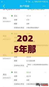 2025年那些网贷好用，整合5个最新上海贷款平台