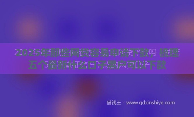 2025年那些网贷容易申请下款，梳理五个最新什么口子黑户可以下款