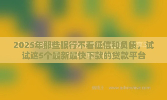 2025年那些银行不看征信和负债，试试这5个最新最快下款的贷款平台