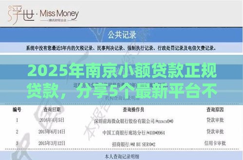 2025年南京小额贷款正规贷款,分享5个最新平台不看征信不看负债可以贷到钱 2025年南京小额贷款正规贷款,分享5个最新平台不看征信不看负债可以贷到钱