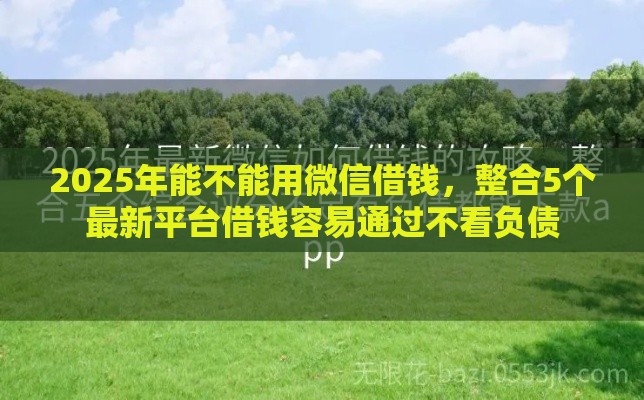 2025年能不能用微信借钱，整合5个最新平台借钱容易通过不看负债