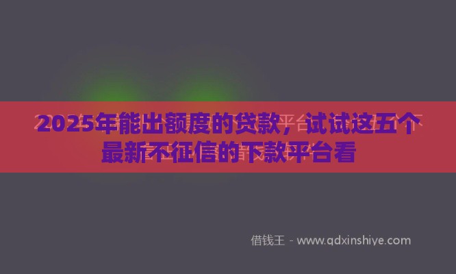 2025年能出额度的贷款，试试这五个最新不征信的下款平台看