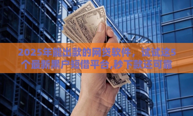 2025年能出款的网贷软件，试试这5个最新黑户短借平台,秒下款还可靠