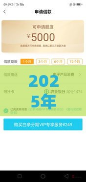 2025年能否用微信还款白条借钱，整合五个最新黑网贷口子大全