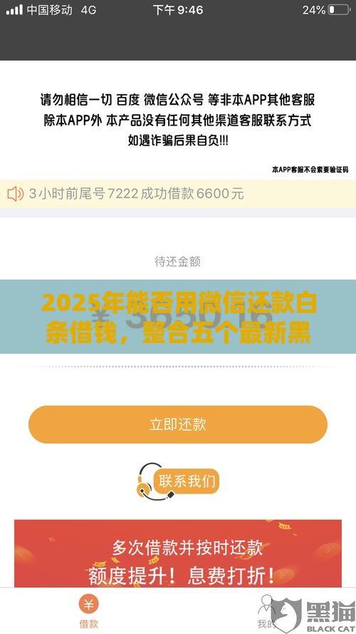 2025年能否用微信还款白条借钱，整合五个最新黑网贷口子大全