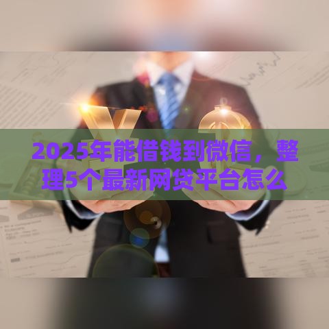 2025年能借钱到微信，整理5个最新网贷平台怎么投诉