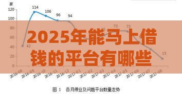 2025年能马上借钱的平台有哪些，公布5个最新黑户网贷必下款的平台