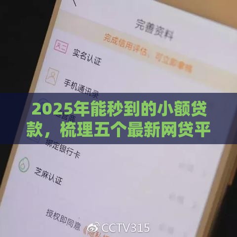 2025年能秒到的小额贷款，梳理五个最新网贷平台好