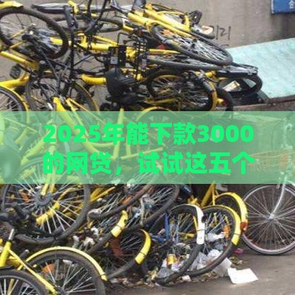 2025年能下款3000的网贷，试试这五个最新能贷500到1000的贷款软件