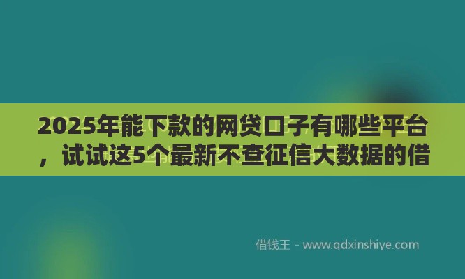 2025年能下款的网贷口子有哪些平台，试试这5个最新不查征信大数据的借款平台百分百通过