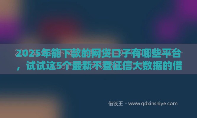 2025年能下款的网贷口子有哪些平台，试试这5个最新不查征信大数据的借款平台百分百通过