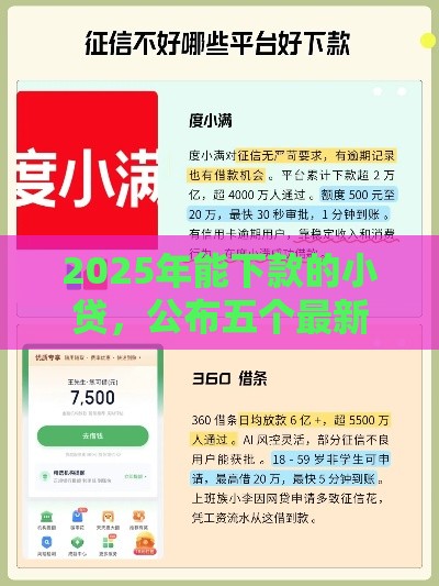 2025年能下款的小贷，公布五个最新什么借钱平台靠谱