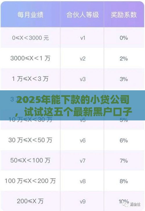 2025年能下款的小贷公司，试试这五个最新黑户口子高炮