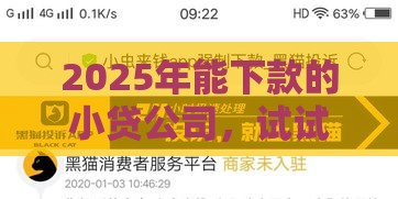 2025年能下款的小贷公司，试试这五个最新黑户口子高炮