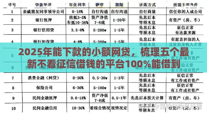 2025年能下款的小额网贷，梳理五个最新不看征信借钱的平台100%能借到