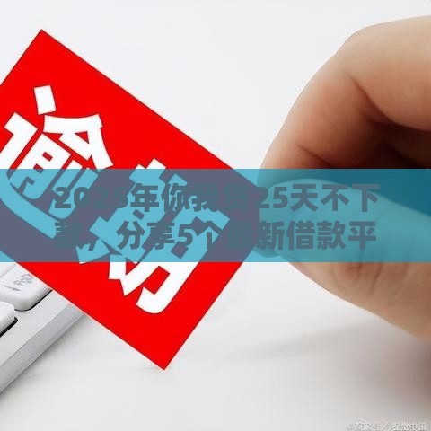 2025年你我贷25天不下款，分享5个最新借款平台不看征信不看负债