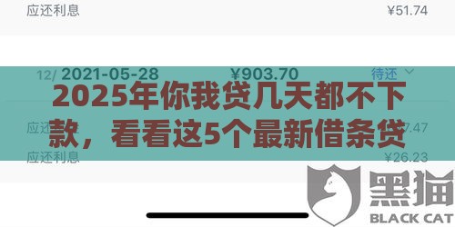 2025年你我贷几天都不下款，看看这5个最新借条贷款平台