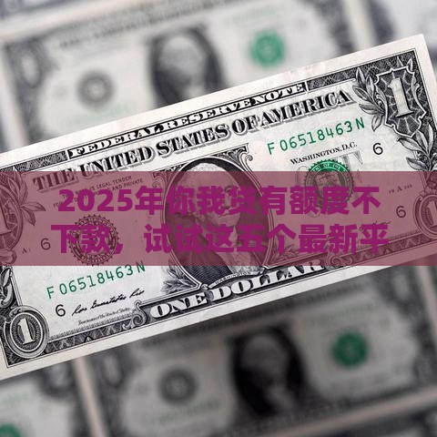 2025年你我贷有额度不下款，试试这五个最新平台借钱不看综合评分