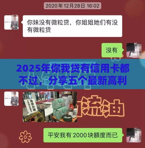 2025年你我贷有信用卡都不过，分享五个最新高利贷贷款平台