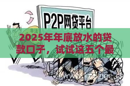 2025年年底放水的贷款口子，试试这五个最新投诉网贷平台电话