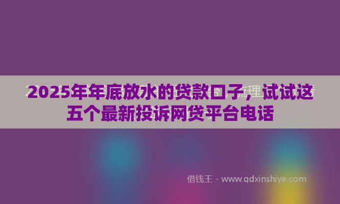 2025年年底放水的贷款口子，试试这五个最新投诉网贷平台电话