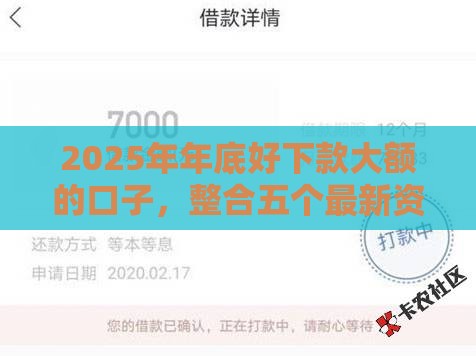 2025年年底好下款大额的口子，整合五个最新资质不好平台可以借100