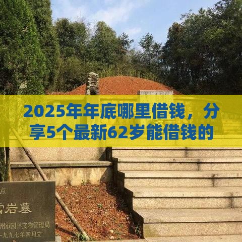 2025年年底哪里借钱，分享5个最新62岁能借钱的平台