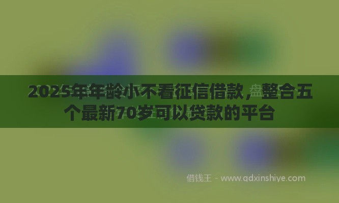 2025年年龄小不看征信借款，整合五个最新70岁可以贷款的平台