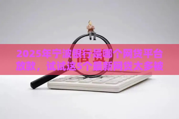 2025年宁波银行是哪个网贷平台放款，试试这5个最新网贷太多被拒平台还能贷