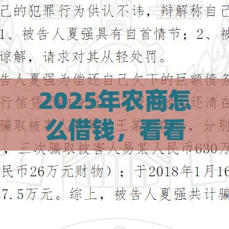 2025年农商怎么借钱，看看这5个最新最好的贷款平台排行