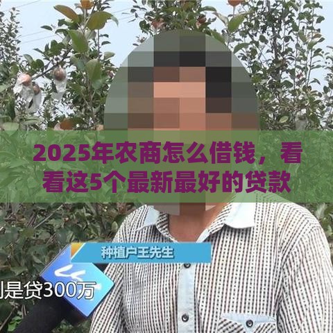 2025年农商怎么借钱，看看这5个最新最好的贷款平台排行