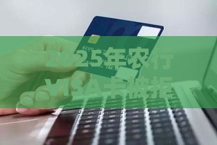 2025年农行VISA卡被拒，试试这五个最新2025夜间秒下款高炮口子