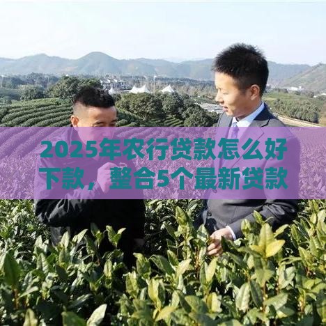 2025年农行贷款怎么好下款，整合5个最新贷款好贷的平台