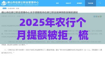 2025年农行个月提额被拒，梳理5个最新贷款大平台